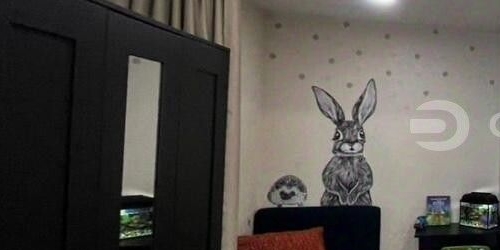 1-комн квартира пос. Шушары, улица Вишерская, 1к1