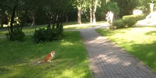 2-комн квартира Пушкин, Артиллерийская улица, 8