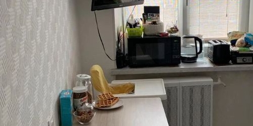 1-комн квартира Пушкин, Прямой переулок, 3