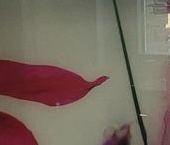 Продать Квартиры вторичка Егорьевск, улица Механизаторов, 55к4   