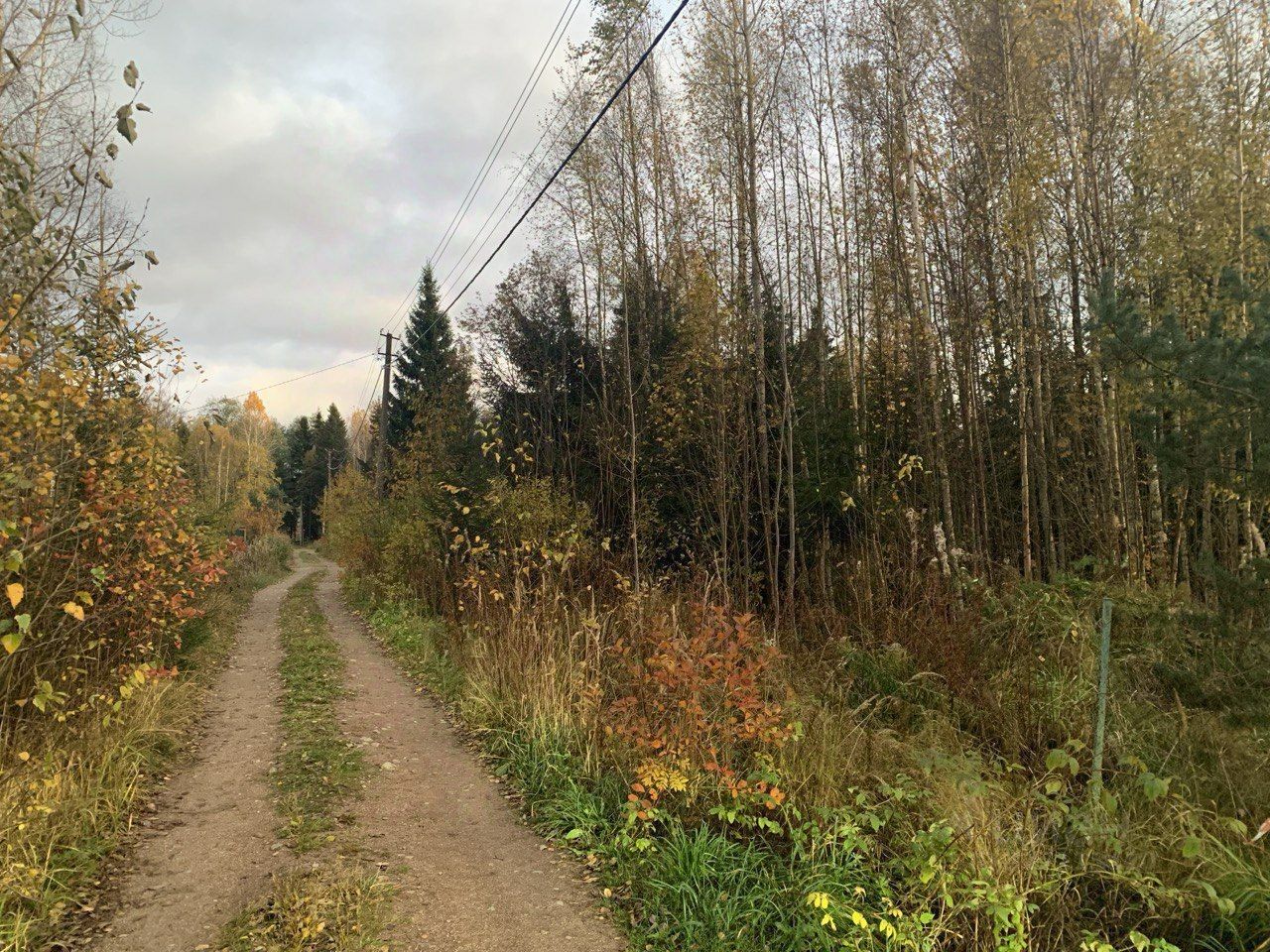 Продажа земли Сампо СНТ,  д. 297