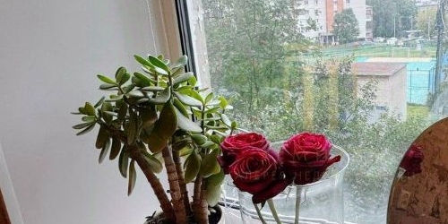 1-комн квартира проспект Металлистов, 76