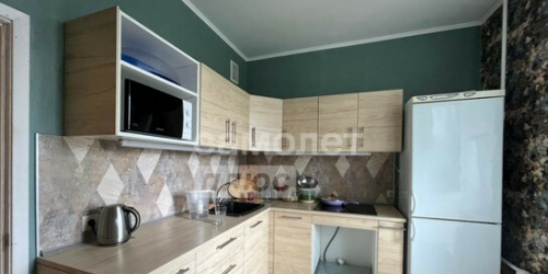 1-комн квартира пр-кт Защитников Москвы,  д. 1