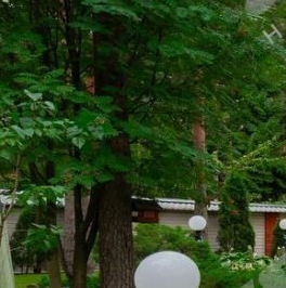 Продажа дома Всеволожск, улица Коммуны, 131