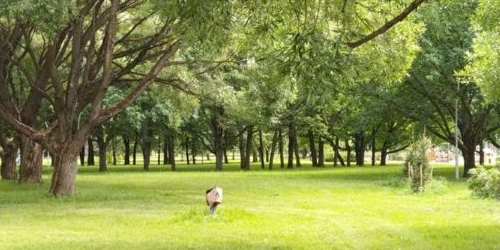 1-комн квартира Кузнецовская улица, 8