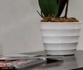 Сдать в аренду Квартиры вторичка Ботанический переулок, 11   