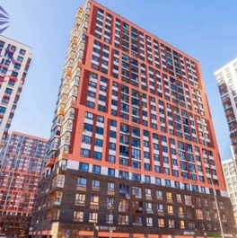 Продажа 1-комн квартиры на вторичном рынке Новое Павлино, Косинское шоссе,  д. 8