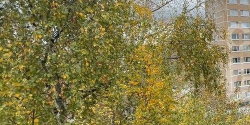 2-комн квартира Большая Черкизовская улица, 30К3