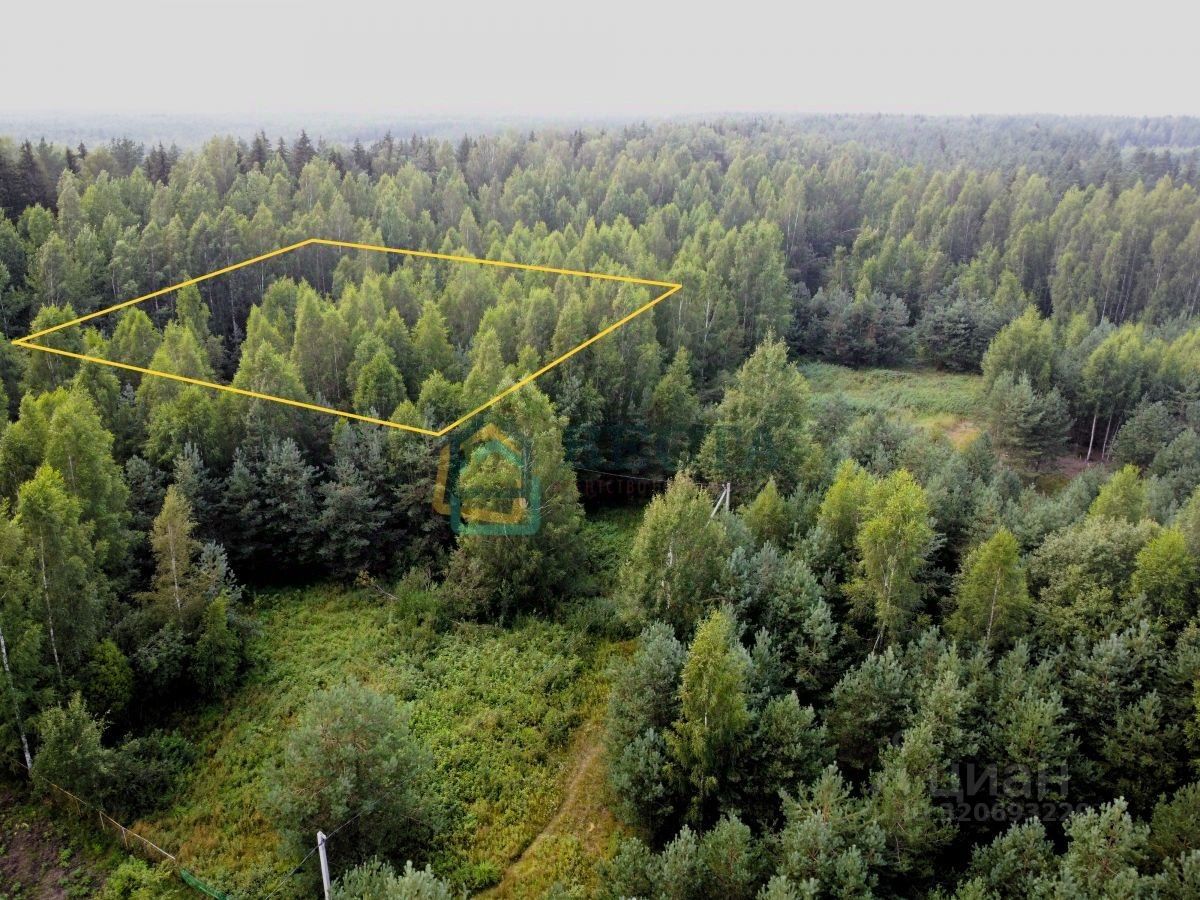 Продажа земли Константиновка кп, улица Сиреневая