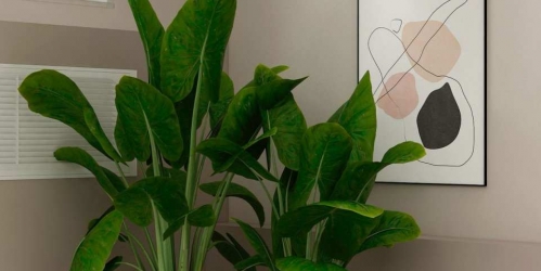 Торговое помещение Вознесенский пр.,  д. 33