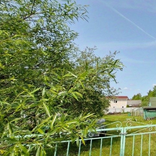 Коттедж/дом Дружная Горка городской поселок, улица Маяковского