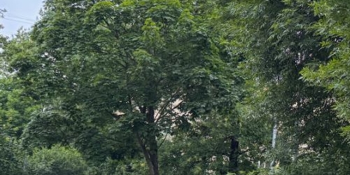 3-комн квартира 1-й Рабфаковский переулок, 11