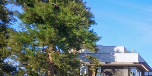 Коттедж/дом пос. Лисий Нос, Приморское шоссе, 26А