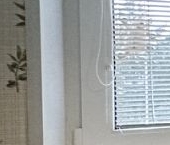 Сдать в аренду Квартиры вторичка Дубнинская улица, 34   