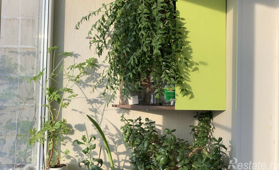 Продажа 2-комн квартиры на вторичном рынке Сертоловское городское поселение, Центральная улица,  д. 6 к1