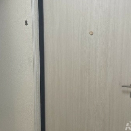 Продажа 1-комн квартиры на вторичном рынке Муринская дор,  д. 25 к3