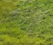 Продать Земельные участки, земля д. Велигонты, улица Южная, 56   