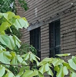 Продажа 2-комн квартиры на вторичном рынке улица Гамалеи, 23К2 Продажа 2-комн квартиры на вторичном рынке улица Гамалеи, 23К2