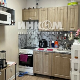 Продажа 1-комн квартиры на вторичном рынке Мисайлово д, Пригород Лесное мкр