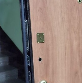 Аренда 1-комн квартиры на вторичном рынке Петергоф, Озерковая улица, 45 Аренда 1-комн квартиры на вторичном рынке Петергоф, Озерковая улица, 45