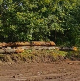 Продажа земли Сертолово, улица Оптимистов