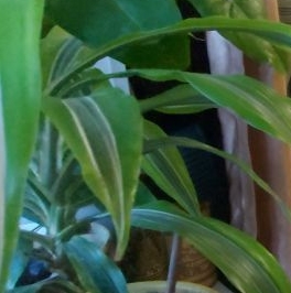 Продажа 1-комн квартиры на вторичном рынке пос. При железнодорожной станции Приветнинское, улица Военных Строителей, 7