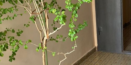 2-комн квартира Новочеремушкинская улица, 60К2