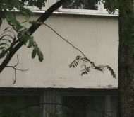 Продажа комнаты в коммуналках Суздальский проспект, 63к3