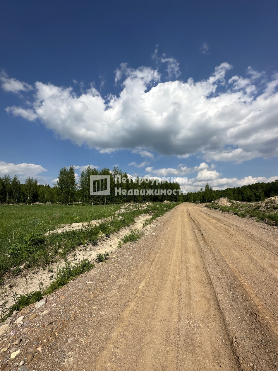 Продажа земли деревня Пухолово, деревня Пухолово,