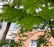 Продажа квартиры на вторичке пос. Сельцо, 4