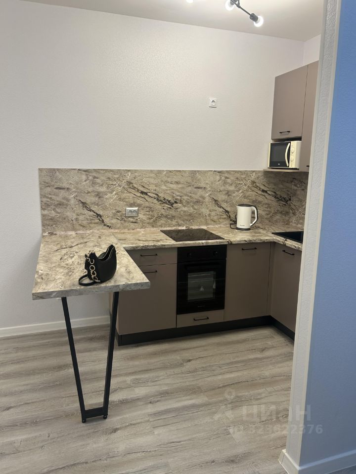 Аренда 1-комн квартиры на вторичном рынке д. Новосаратовка, улица Первых, 4к3