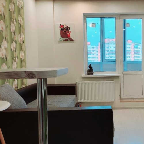 Студия пос. Шушары, переулок Вилеровский, 6