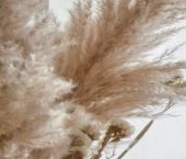 Продать Квартиры вторичка Студенческая улица, 14к1   