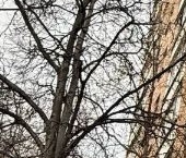 Продать Квартиры вторичка Песчаная улица, 13   