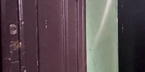 2-комн квартира Большая Пушкарская улица, 11