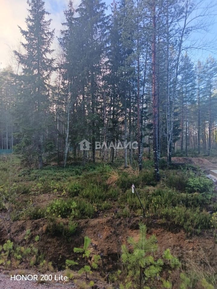 Продажа земли Рощино пгт, проезд Мельничный