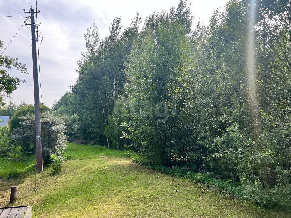 Продажа земли Посадников остров садоводческий массив, 8-я линия