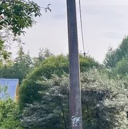 Продажа земли Посадников остров садоводческий массив, 8-я линия Продажа земли Посадников остров садоводческий массив, 8-я линия