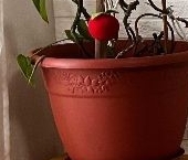 Продать Квартиры вторичка Печорская улица, 7   