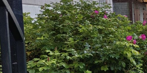 3-комн квартира Гражданский проспект, 122К1