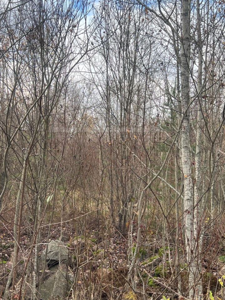 Продажа земли Выборг, проезд Храбрый