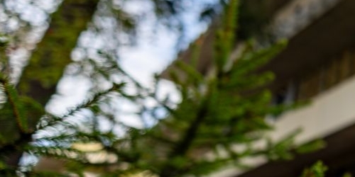 Коттедж/дом пос. Лисий Нос, Приморское шоссе, 26А