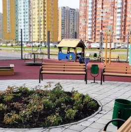 Продажа 1-комн квартиры на вторичном рынке Некрасовка п,  д. 10