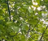 Продать Квартиры вторичка Большая Татарская улица, 7к2   