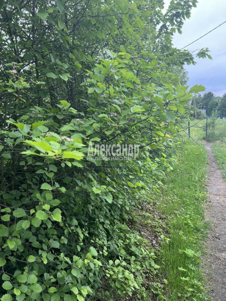 Продажа земли Красная Долина пос.