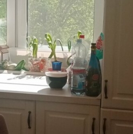 Продажа 2-комн квартиры на вторичном рынке Масловка Верхн. ул,  д. 11