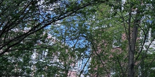 4-комн квартира Павловск, Госпитальная улица, 20к1