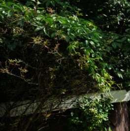 Продажа дома пос. Петрушино, Отрадное, улица Светлая, 21/10 Продажа дома пос. Петрушино, Отрадное, улица Светлая, 21/10