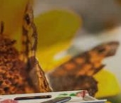 Продать Квартиры вторичка проспект Маршала Блюхера, 57К2   