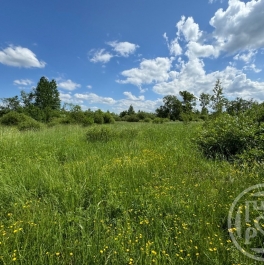 Продажа земли Отрадное г., Шишова ул. , д. 3 Продажа земли Отрадное г., Шишова ул. , д. 3